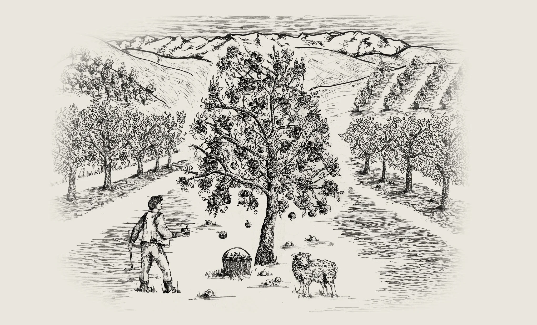 Illustracion_Primera_Manzana copia